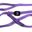 Gencon All-in-one Dog Headcollar and Lead