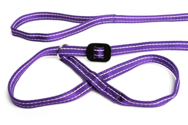 Gencon All-in-one Dog Headcollar and Lead