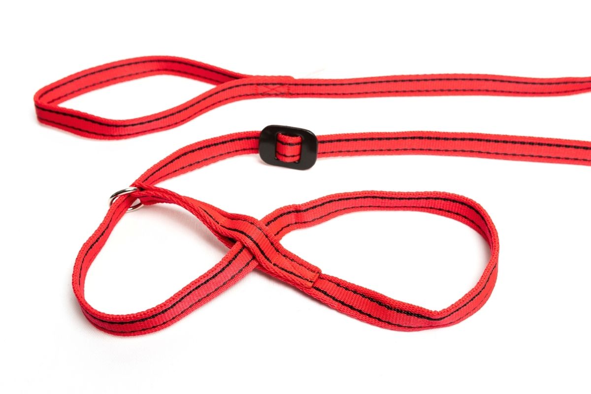 Gencon All-in-one Dog Headcollar and Lead