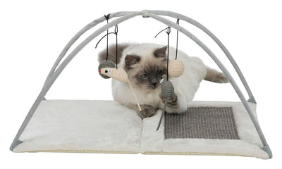 Ragdoll kitten playing on a soft fleece activity play mat with hanging toys and built-in scratch pad, perfect for interactive indoor enrichment and kitten stimulation