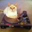 Cardboard DJ turntable scratching cat toy.