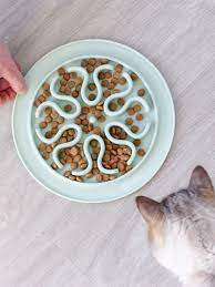 Inooko Slow Feeder Mat