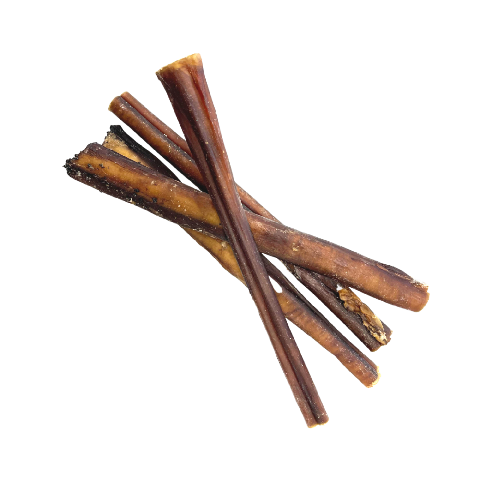 Bully Pizzle Sticks 24cm Amy's Pet Supplies